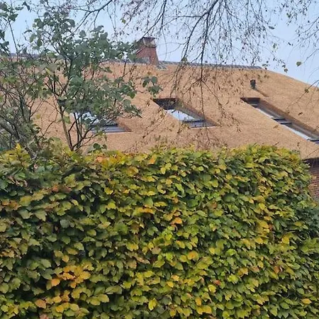 Apartment 8 Person With Heated Swimmingpool Hoek Winssen