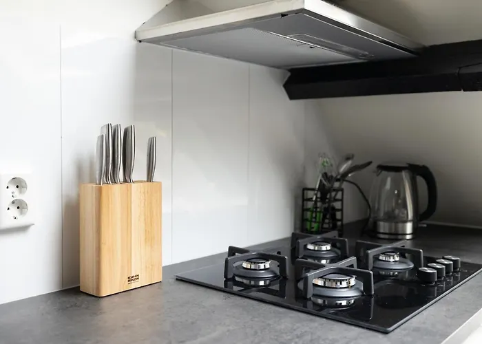 8 Person With Heated Swimmingpool Hoek