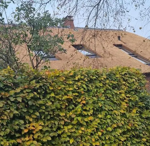 Apartment 8 Person With Heated Swimmingpool Hoek Winssen