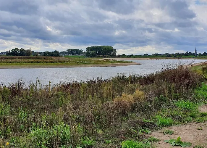 8 Person With Heated Swimmingpool Hoek Winssen