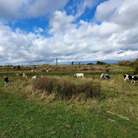 8 Person With Heated Swimmingpool Hoek *