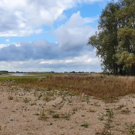 8 Person With Heated Swimmingpool Hoek * Winssen