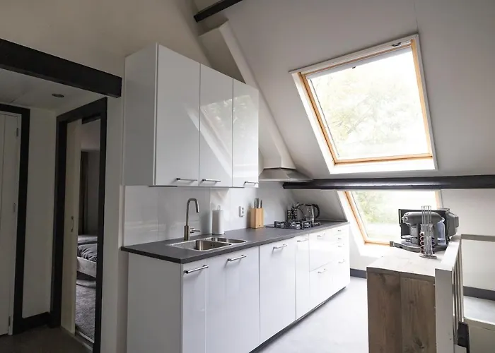 8 Person With Heated Swimmingpool Hoek * Winssen