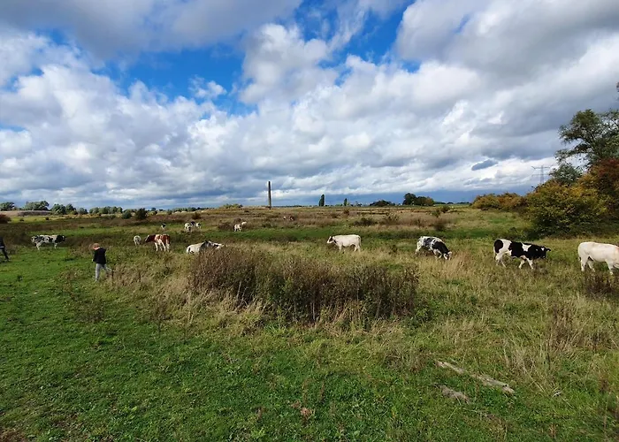 8 Person With Heated Swimmingpool Hoek *