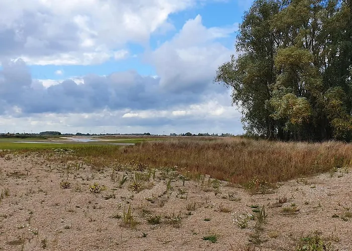 8 Person With Heated Swimmingpool Hoek * Winssen